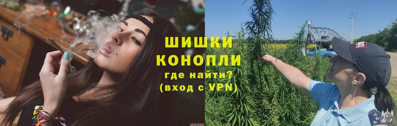 купить наркоту  Приморск  blacksprut ONION  МАРИХУАНА конопля 